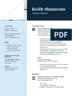 Blue White Color Blocks Software Engineer CV