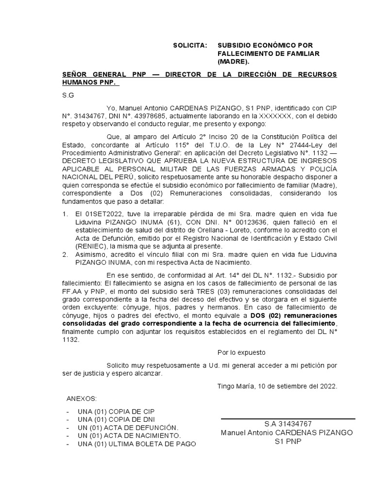Solicitud Subsidio | PDF | Justicia | Crimen y violencia