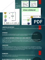 Libro de Matrimonios (Parte II) (Power Point)