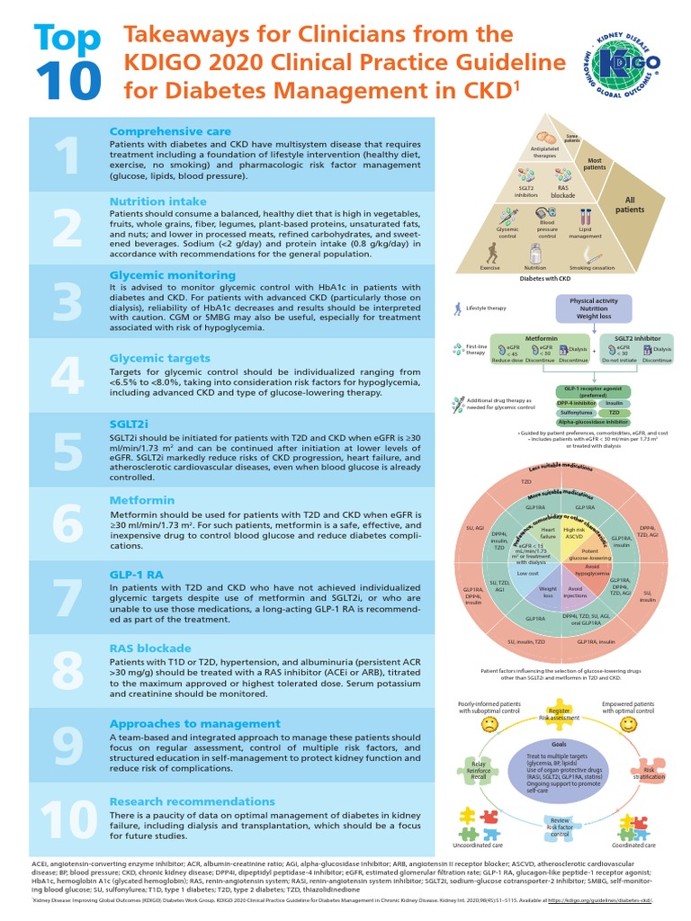 Top 10 Takeaways Clinicians - Updated | PDF | Chronic Kidney Disease ...
