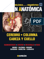 Magen Natómica: Cerebro - Columna Cabeza Y Cuello