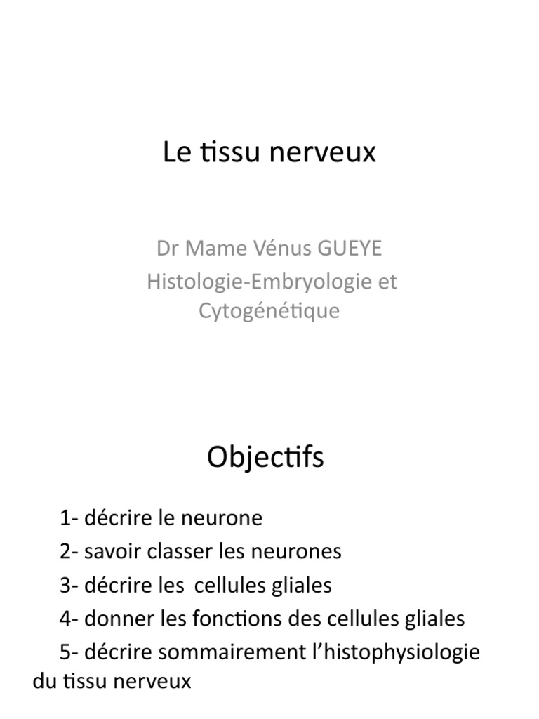 Histologie du Tissu Nerveux | PDF | Synapse | Neurone