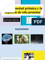 La Enfermedad Priónica y La 'Hipótesis de Solo Proteína'