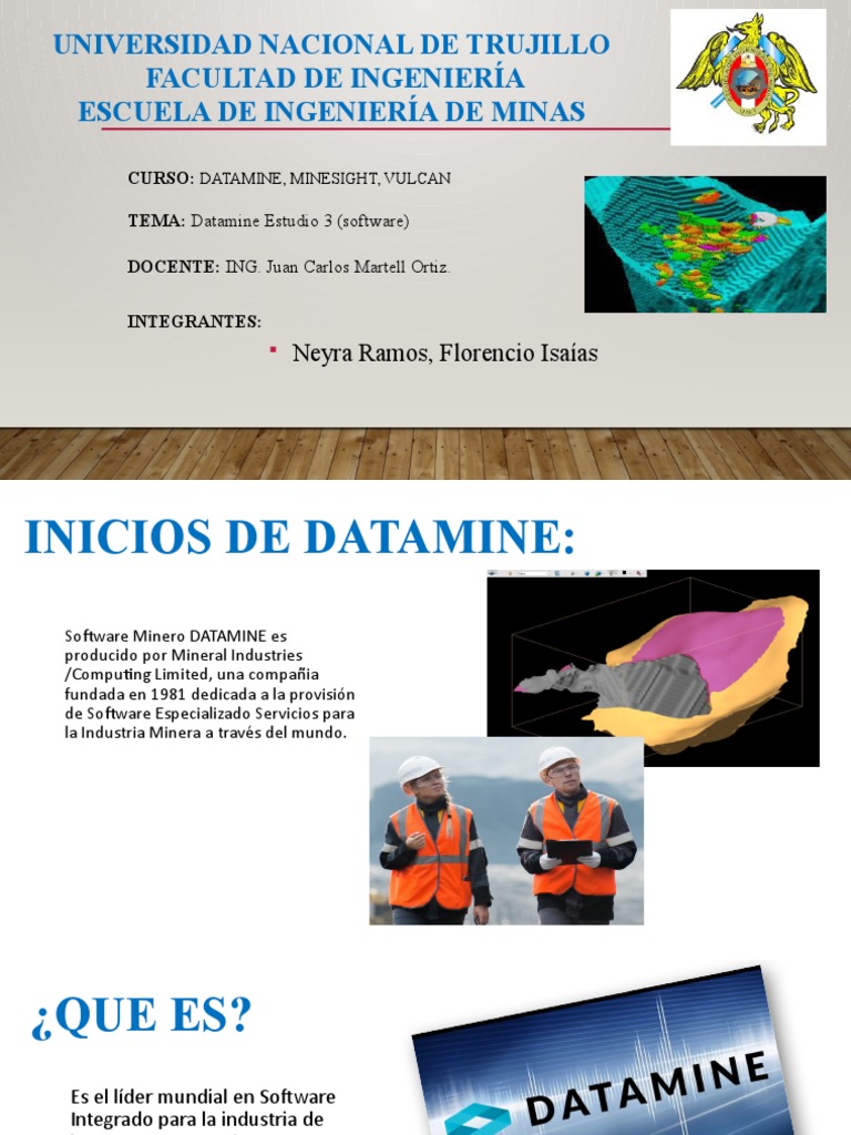 Software Datamine: Guía y Aplicaciones | PDF | Minería | Software