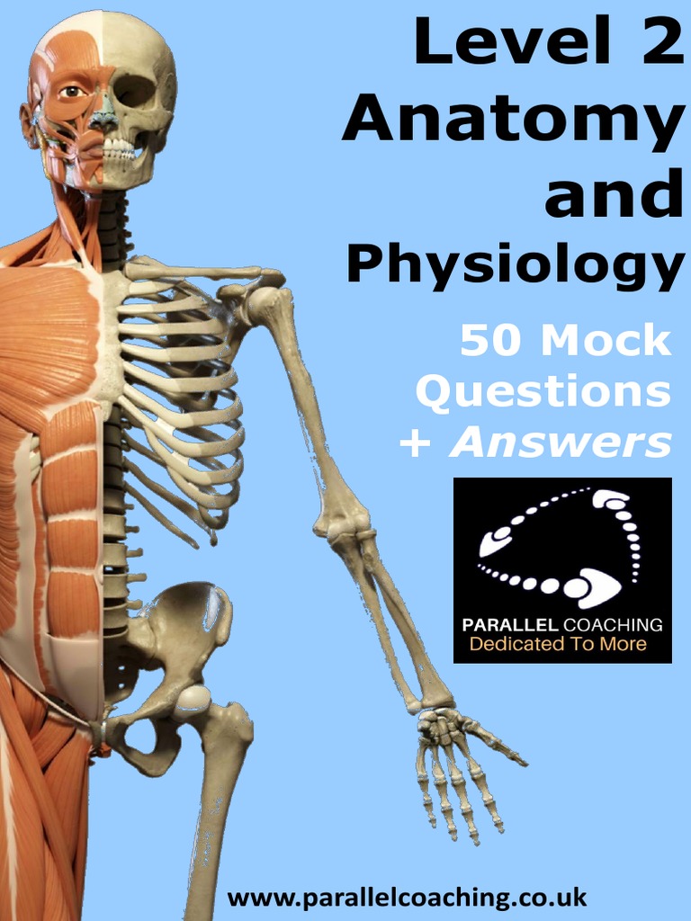 Level 2 Anatomy & Physiology Mock Exam | PDF | Skeletal Muscle ...