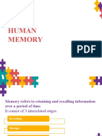 Human Memory