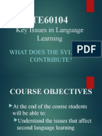 Key Issues in Language Learning: What Does The Syllabus Contribute?