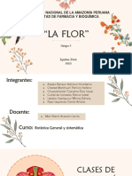 La flor-G2-Botanica