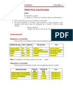 Práctica Calificada