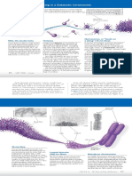 DNA Packaging