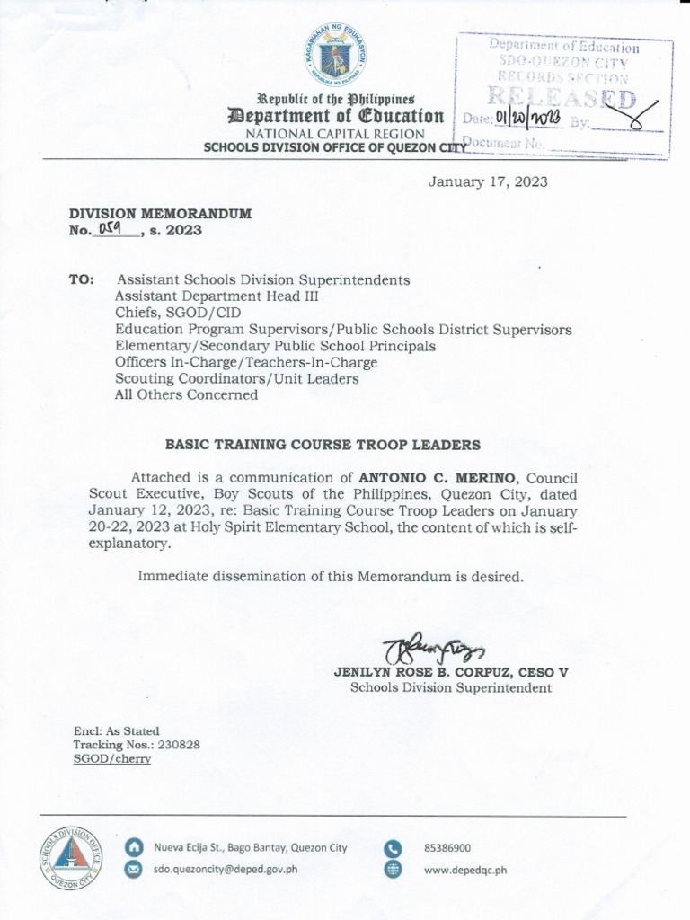 Basic Training Course Troop Leaders | PDF