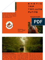 Exotic Tanjung Puting National Park Brochure