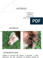 Anthrax: Causes, Types, Symptoms and Treatment