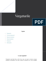 Vergeturile