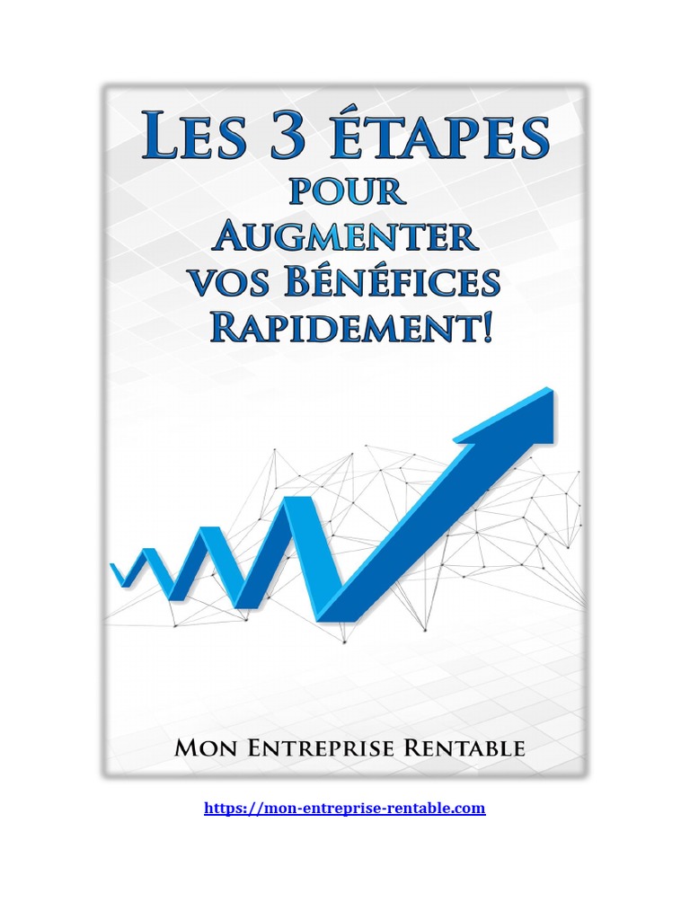 Les 3 Étapes Pour Augmenter Vos Bénéfices Rapidement | PDF