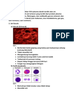MAteri Darah 1