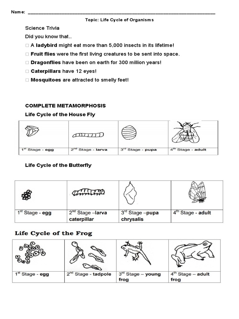 Science-Module 1 | PDF | Pupa | Insects