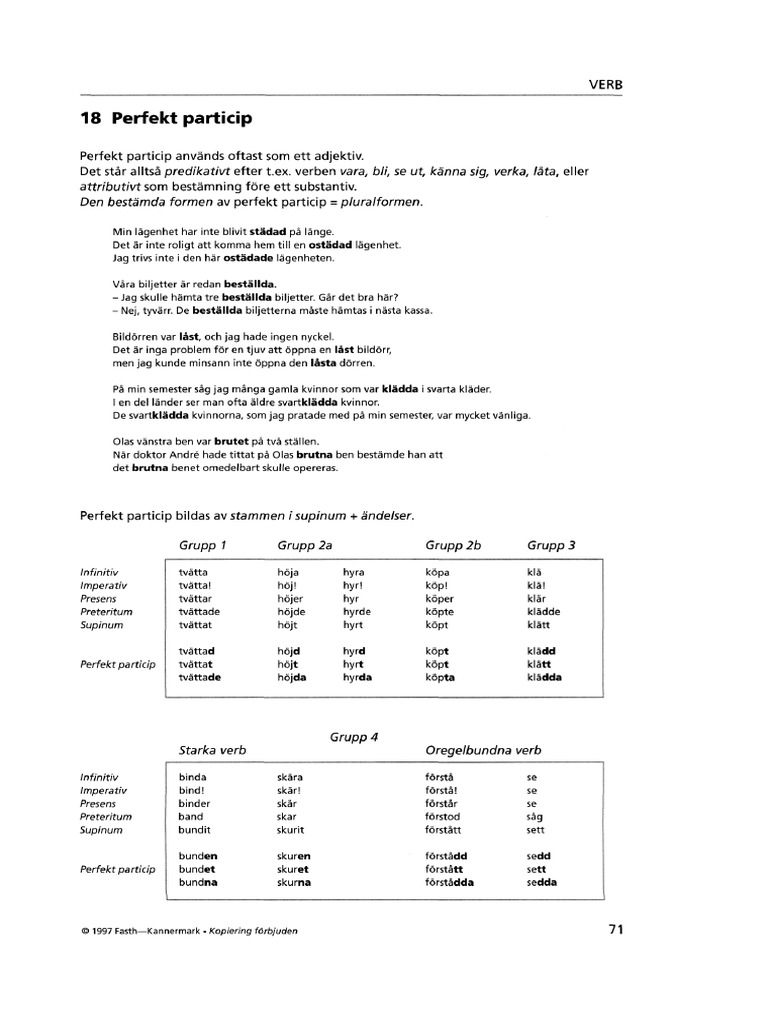 Perfekt Particip | PDF