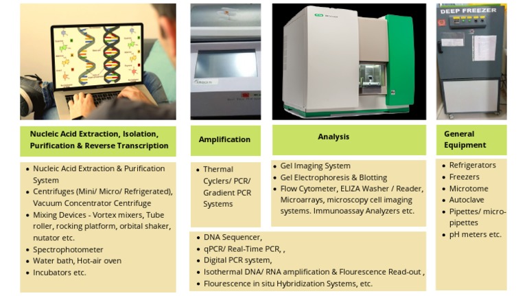 Molecular Diagnostic Techniques Overview | PDF