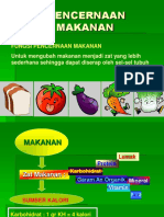 Sistem Pencernaan Makanan