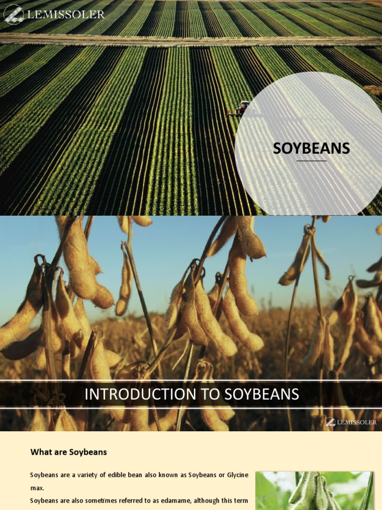 Soybeans PDF Atmosphere Of Earth Humidity