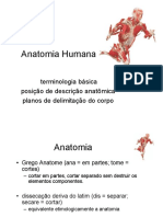 Anatomia Humana Básica