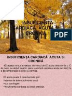 Insuficienta Cardiaca