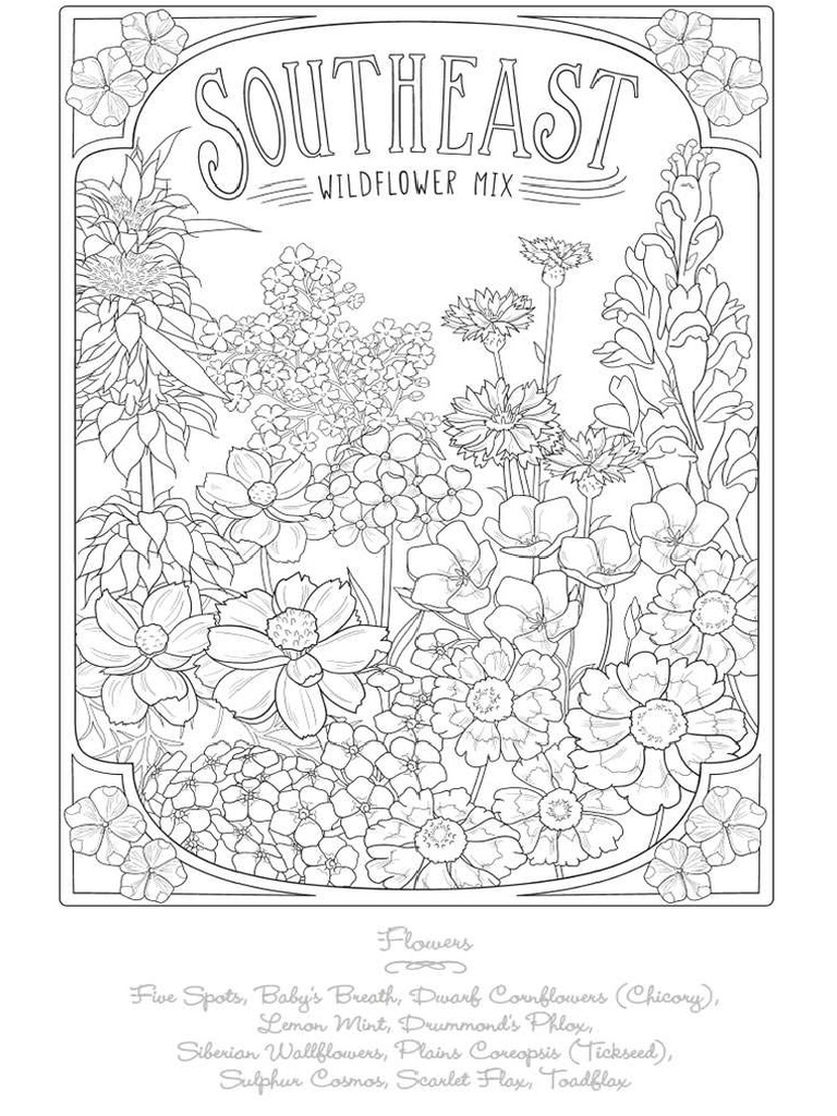 Creative Haven Wildflowers Coloring Book | PDF