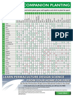 Companion Planting