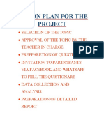 Action Plan For The Project