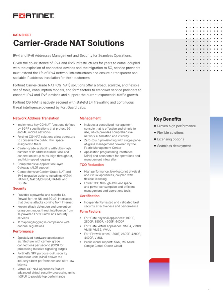 Fortinet Cgnat Solution Pdf