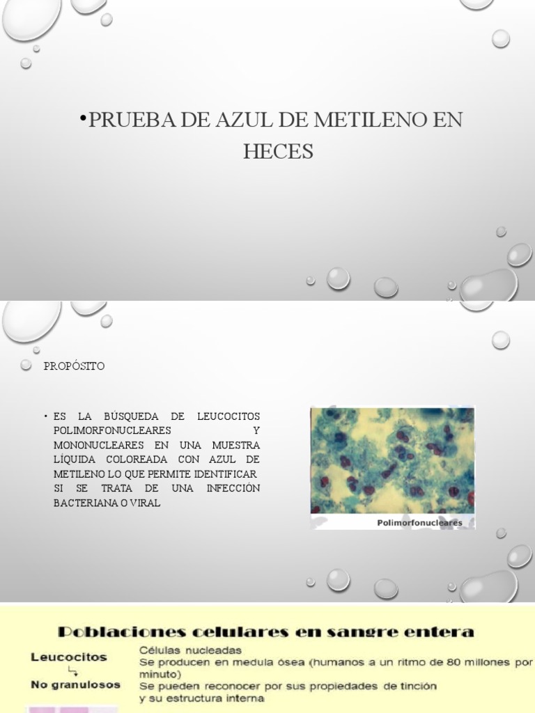 Tinci N de Azul de Metileno en Heces | PDF | Diarrea | Enfermedades y ...