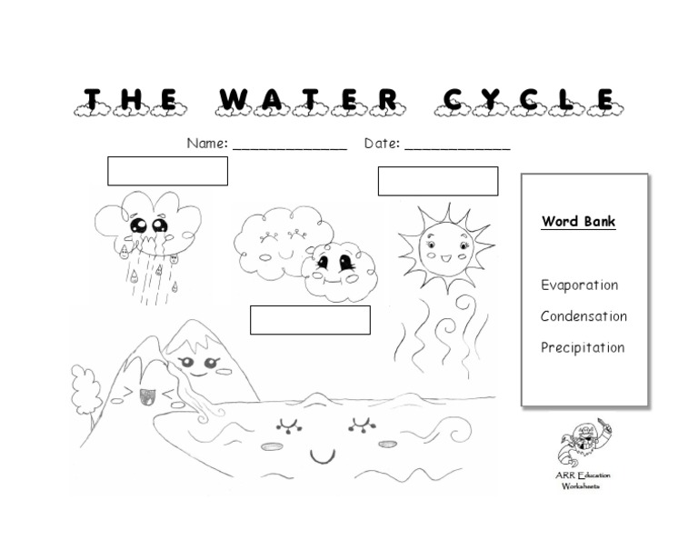 The Water Cycle PDF