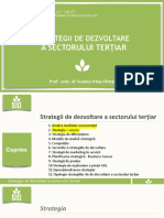 SDST 2 Strategia Succes