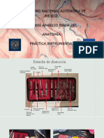 Práctica Instrumental.