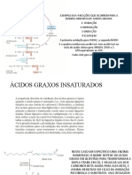 Resumo Oxidação Ácidos Graxos