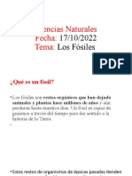 Ciencias Naturales Fosil