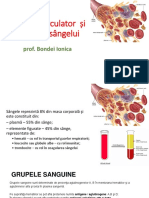 Circulatia 11