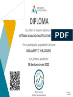 Diploma Aislamiento y Bloqueo