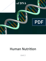 DNA and Water