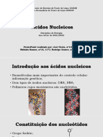 Ácidos Nucleicos PDF