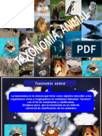 Taxonomía Animal Cta