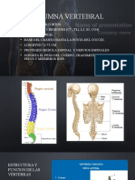 Vertebras Toracicas