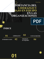 Importancia Del Liderazgo y Trabajo en Equipo en Las Organizaciones