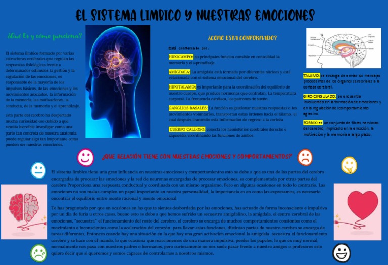 Sistema límbico y emociones humanas | PDF | Cerebro | Las emociones