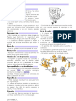 Resumo Poríferos