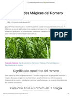 «【 Propiedades Mágicas del Romero 】☀️️ Usos y Propiedades