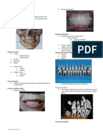 Oral Anatomy Reviewer