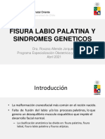 fisura-labio-palatina-y-sindromes-geneticos-dra-roxana-allende-jorquera_archivo