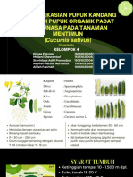 Kel 4 RTPT - Mentimun